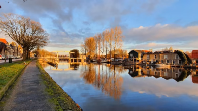 houses beside body of water