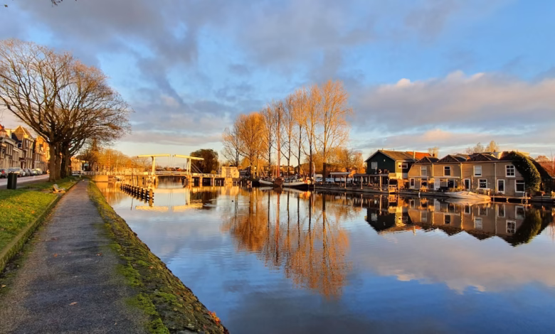 houses beside body of water