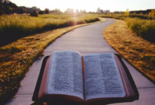 opened book on brown field during daytime