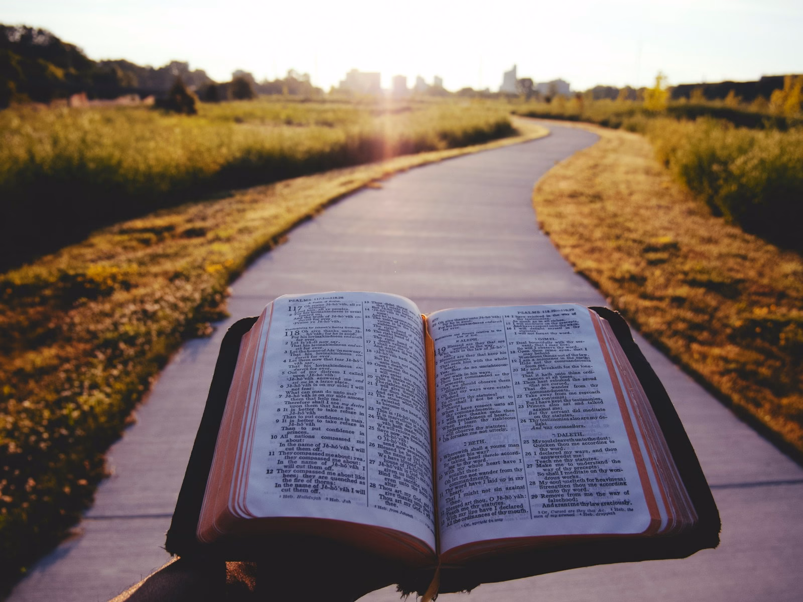 opened book on brown field during daytime