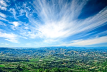 green trees under blue sky during daytime