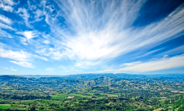 green trees under blue sky during daytime
