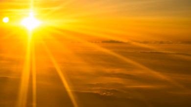 sepia photography of sunlight