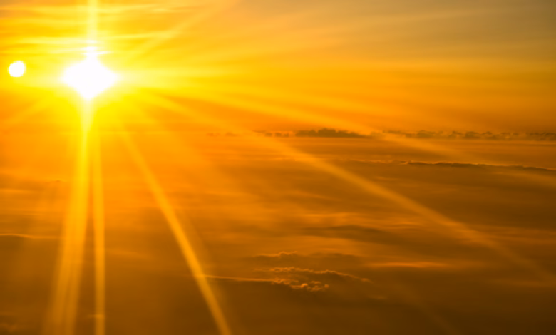 sepia photography of sunlight