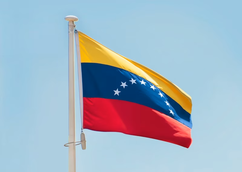 a flag on a pole