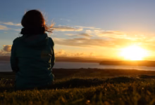 sunset, meadow, nature, relaxation, new zealand, enjoy the view, enjoy, peaceful, vacations, time out, inner calm, satisfaction, new zealand, new zealand, new zealand, new zealand, new zealand, enjoy, satisfaction, satisfaction