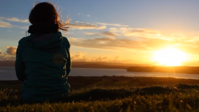sunset, meadow, nature, relaxation, new zealand, enjoy the view, enjoy, peaceful, vacations, time out, inner calm, satisfaction, new zealand, new zealand, new zealand, new zealand, new zealand, enjoy, satisfaction, satisfaction