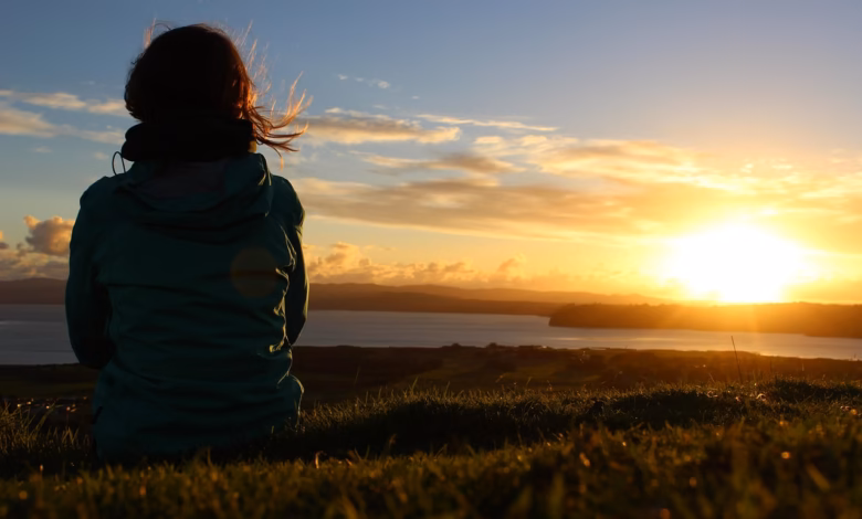 sunset, meadow, nature, relaxation, new zealand, enjoy the view, enjoy, peaceful, vacations, time out, inner calm, satisfaction, new zealand, new zealand, new zealand, new zealand, new zealand, enjoy, satisfaction, satisfaction