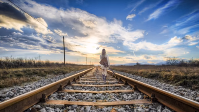 rail, girl, composing, imagination, fantasy picture, dream, woman, tracks, guitar, girl with guitar, woman with a guitar, expanse, landscape, nature, clouds, young woman, female, beauty, person, human, young girl, wishful thought, beautiful, outdoor, mood, young, dreamy, freedom, lonliness, romance, dreams, romantic, the atmosphere, atmospheric, music, summer, abandoned, sunset, evening atmosphere, lighting mood