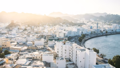 Sunlit coastal city with white buildings, bay, and mountains.