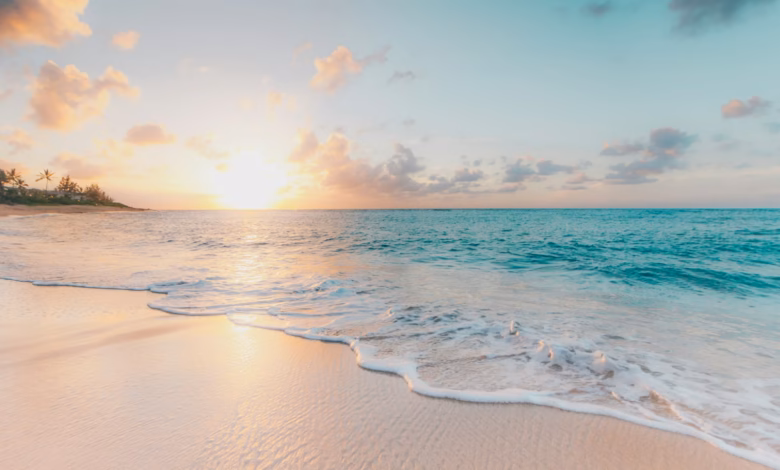 seashore during golden hour