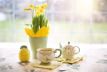 daffodils, tea, tea time, cup of tea, spring, yellow flowers, plant, nature, easter, table, home, tea, spring, easter, easter, easter, easter, easter, table, home