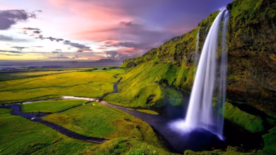 seljalandsfoss, waterfalls, iceland, falls, cliffs, water, stream, river, outdoors, scenic, panorama, fields, meadows, grasslands, landscape, nature, rural, countryside, iceland, iceland, iceland, iceland, iceland, river, river, river, landscape, nature, nature