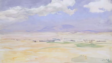 Vast arid landscape with distant mountains under a cloudy sky.