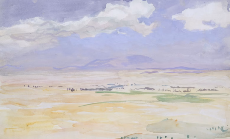 Vast arid landscape with distant mountains under a cloudy sky.