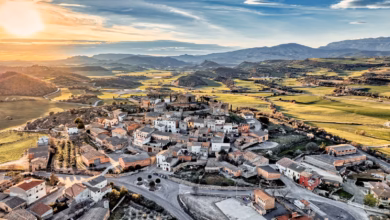 an aerial view of a village in the mountains