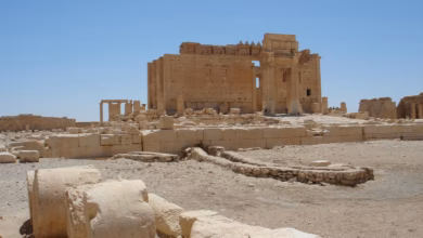 palmyra, deserts, pearl, semitic city, syria, posse, neolithic, palmyra, palmyra, palmyra, palmyra, palmyra