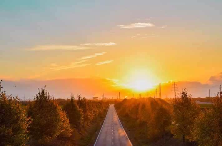 road, sun, trees, avenue, street, pavement, sunset, dusk, horizon, landscape, sky, nature, light, sunlight, asphalt, tree lined avenue, autumn, fall colors, rural, countryside