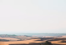 a large desert landscape