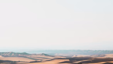 a large desert landscape