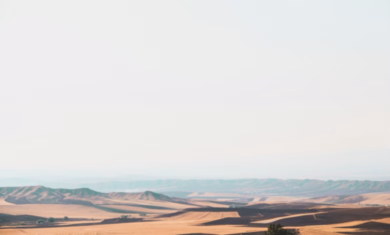 a large desert landscape