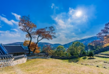Capture the essence of autumn with vibrant fall foliage at Namhansanseong Fortress in Gwangju, South Korea.