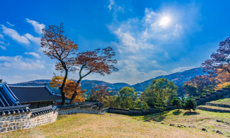 Capture the essence of autumn with vibrant fall foliage at Namhansanseong Fortress in Gwangju, South Korea.