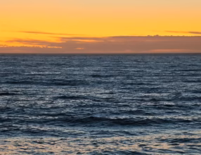 Two people in silhouette on a beach under a warm orange sky