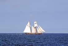 white sail boat on sea during daytime