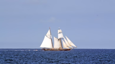 white sail boat on sea during daytime