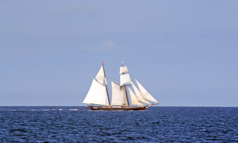 white sail boat on sea during daytime