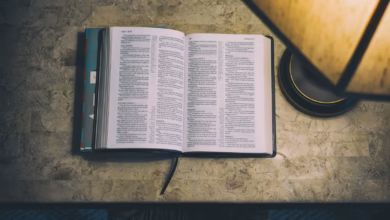 open white and blue book beside table lamp