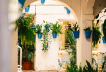 Courtyard with potted plants and tiled floor