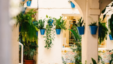 Courtyard with potted plants and tiled floor
