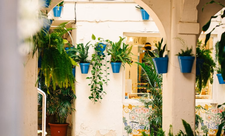 Courtyard with potted plants and tiled floor