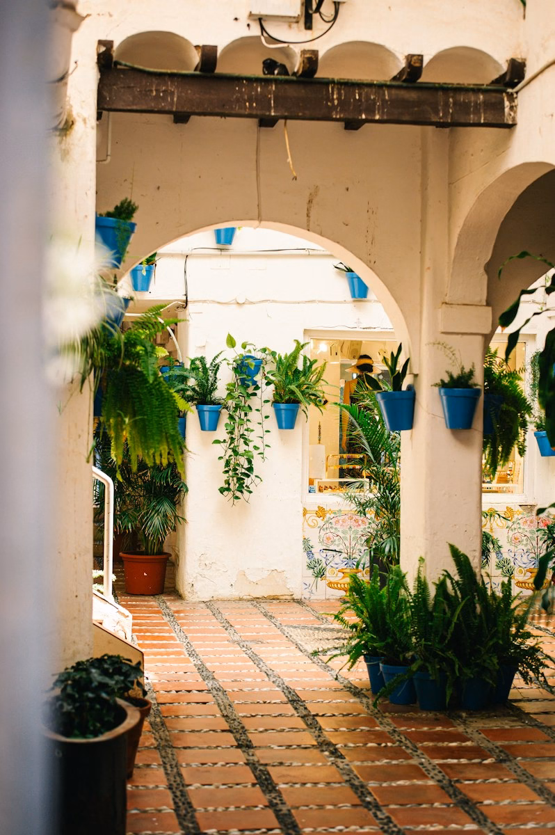 Courtyard with potted plants and tiled floor