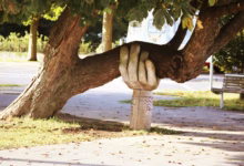 A carved wooden hand supporting a heavy tree branch in a park