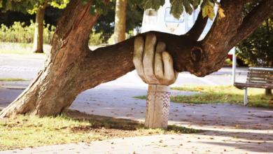 A carved wooden hand supporting a heavy tree branch in a park
